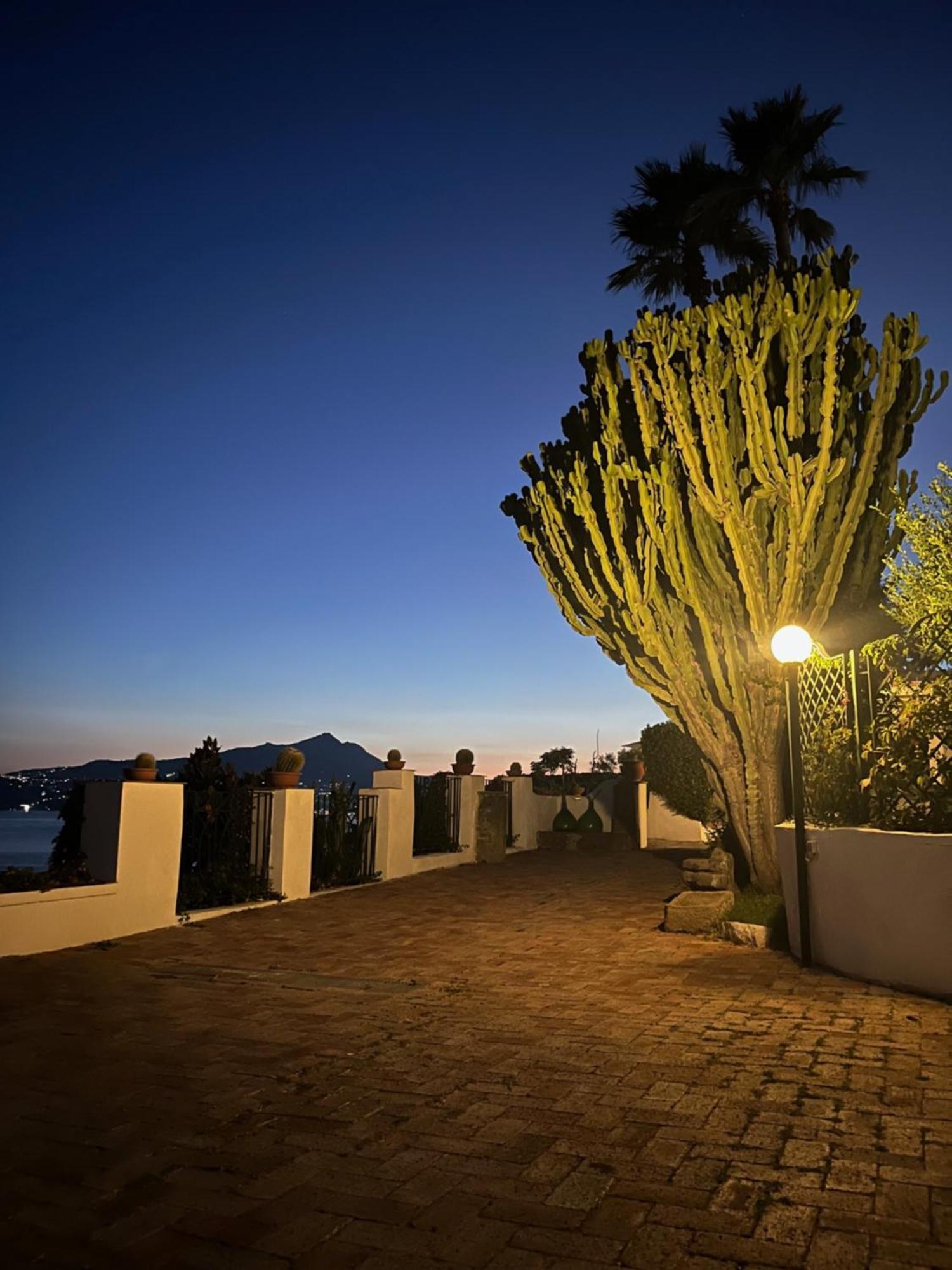 بروسيدا Villa Manni المظهر الخارجي الصورة